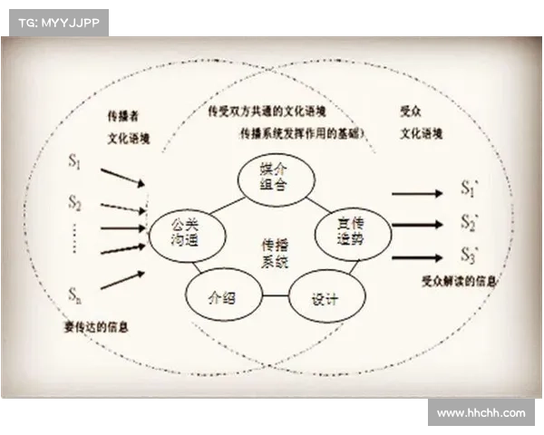 解密多样化发展模式的操作策略与实践路径分析