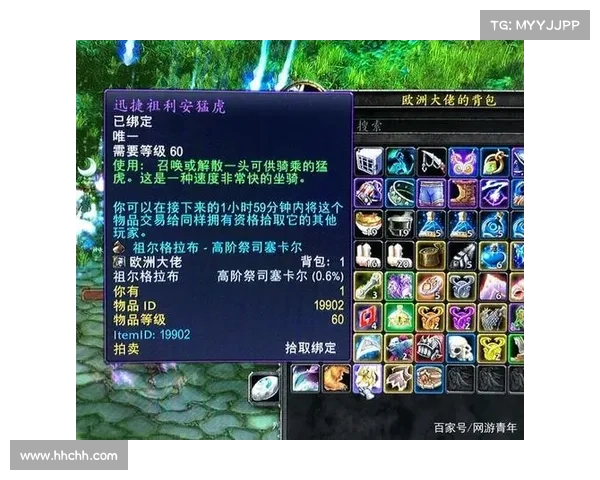 魔兽世界玩家必读定期维护与版本更新调整全面详细实用指南