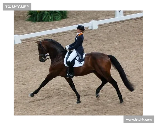 如何高效准备参加上海马术比赛的骑手训练与装备指南